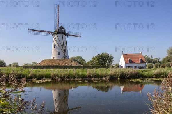 The Schellemolen