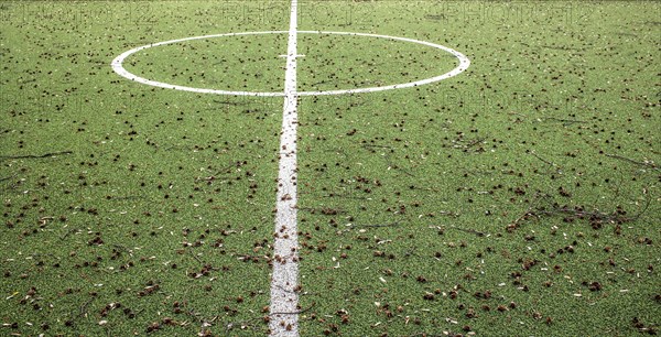 Subject: Lockdown and sports. Sports field strewn with fruits and seeds that cannot be used