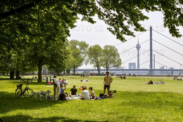 Picnic