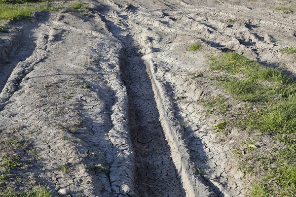 Tire prints in dried mud