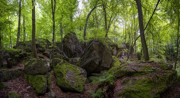 Felsenmeer in Hemer