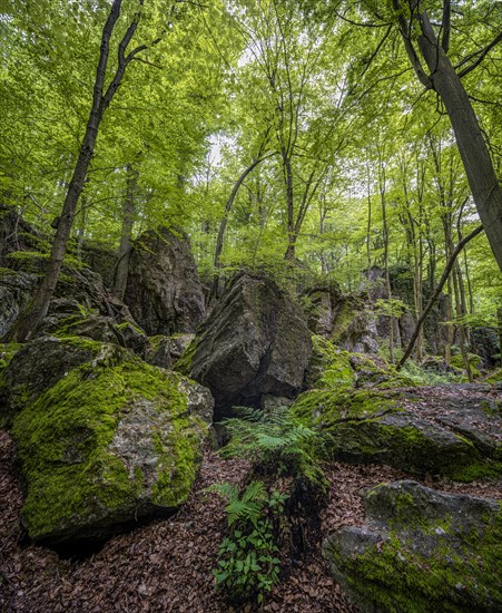 Felsenmeer in Hemer