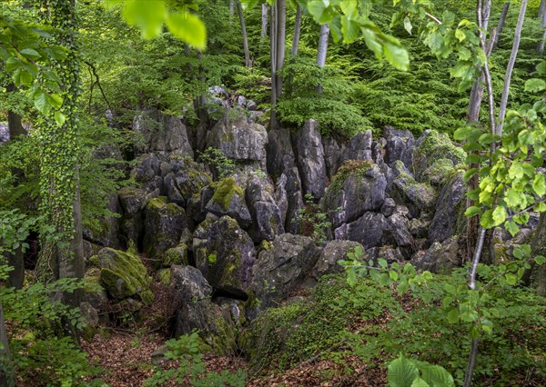 Felsenmeer in Hemer