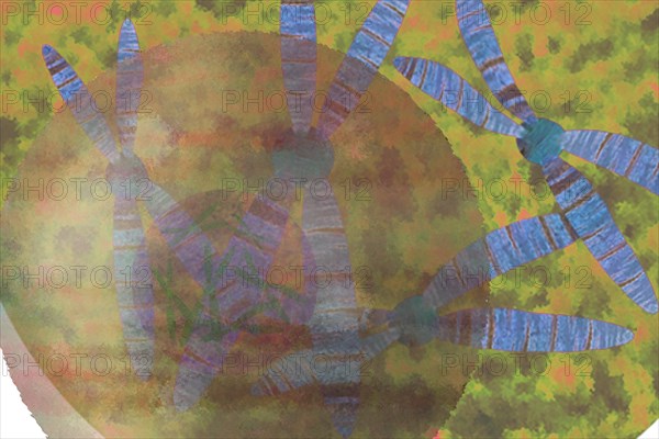 Cell with chromosomes In the chromosome lies everything important for the cells and run the metabolism