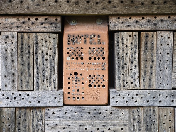 Wild bee nesting sites