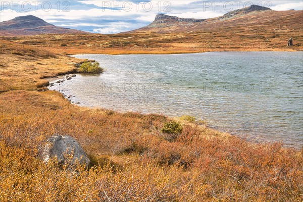 Autumn landscape