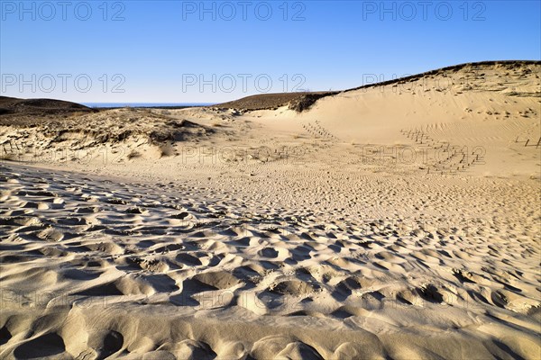 View of nordic dunes of Curonian spit