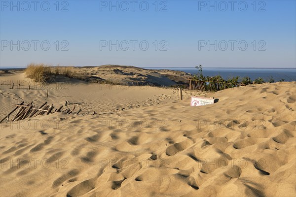 View of nordic dunes