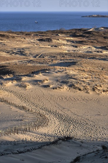 Early spring nature of nordic dunes