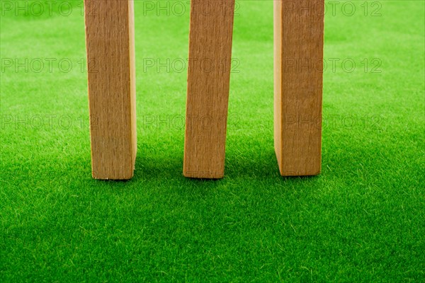 Wooden dominos on green grass