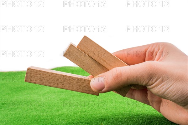 Wooden dominos on green grass