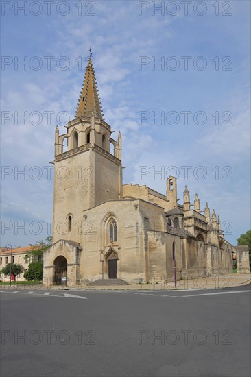 Romanesque Collégiale royale Sainte-Marthe Collegiate Church