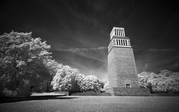 Infrared photo