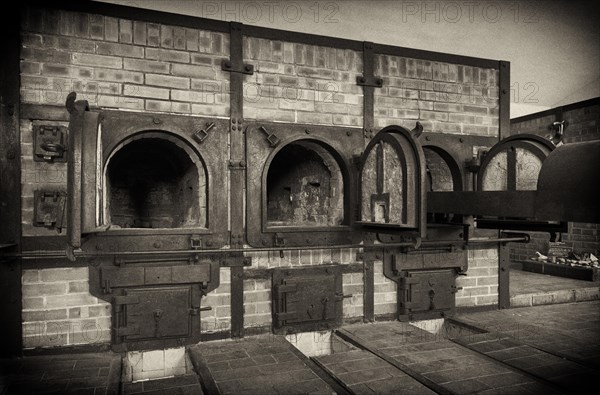 Crematorium incinerator
