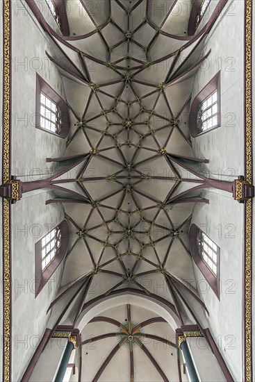 Ceiling vault of the Church of Our Dear Lady