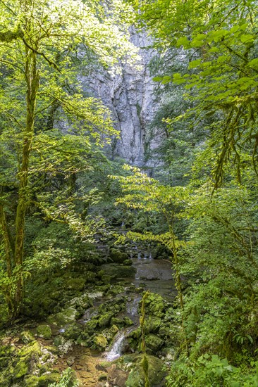 Valley of the Lison at the Source du Lison near Nans-sous-Sainte-Anne