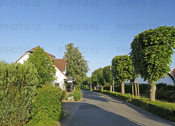 Lindenstraße