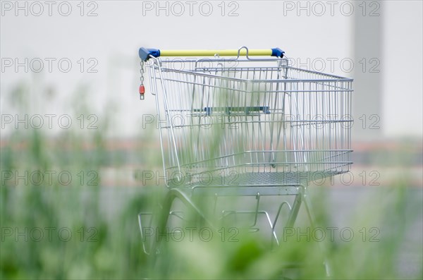 Shopping Cart and Grass