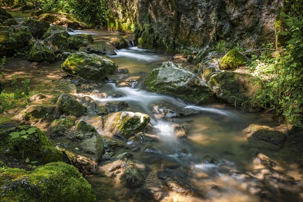 Stream