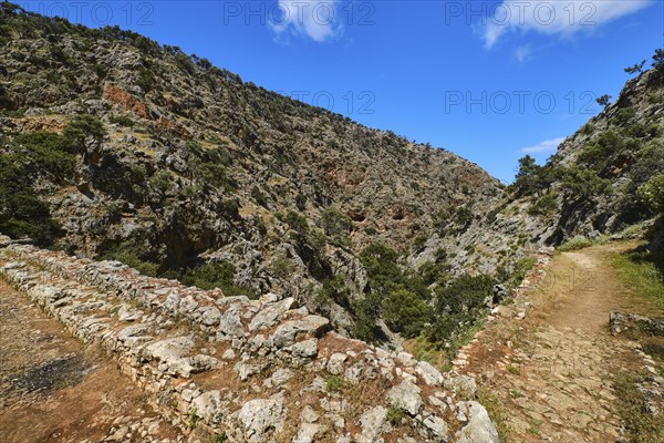 Dynamic composition of typical Greek or Cretan landscape with hills or mountains full of fresh spring greenery and paved paths crossing. Clear blue sky and clouds in spring daytime. Avlaki gorge of Ak...