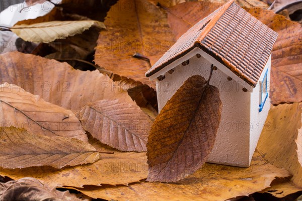 Little model house places on an Autumn background with leaves