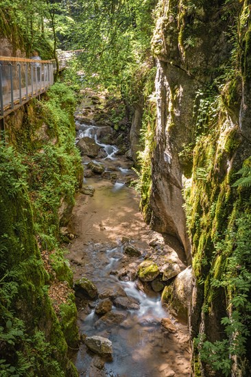 Stream