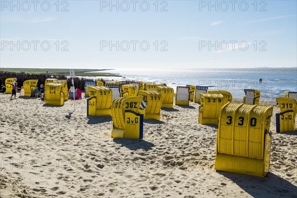 Yellow beach chairs and mudflats