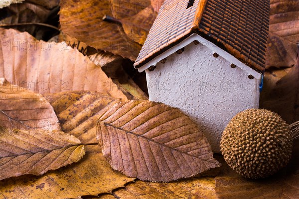 Little model house places on an Autumn background with leaves