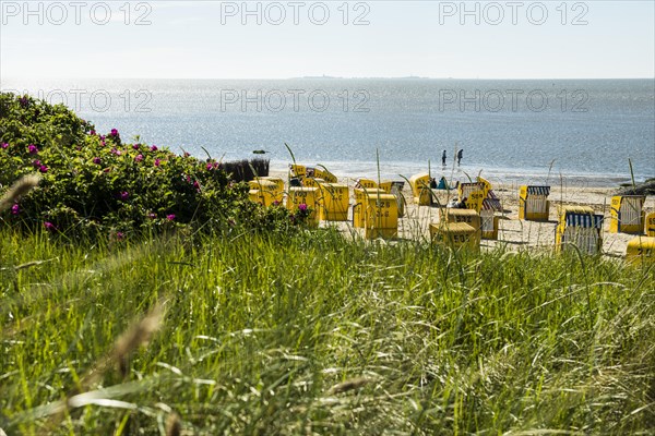 Yellow beach chairs and mudflats