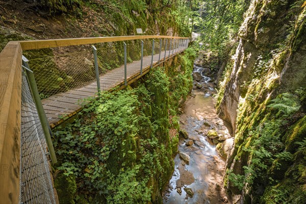 Stream