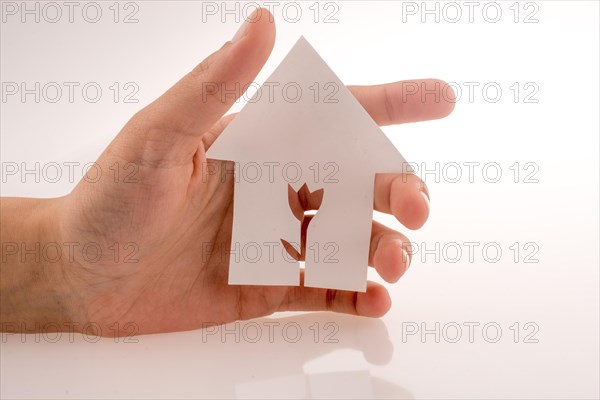 Hand holding a paper house with a flower shape carved in it on a white background