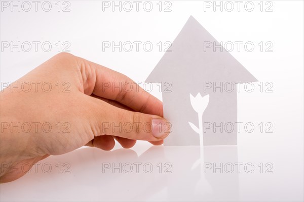 Hand holding a paper house with a flower shape carved in it on a white background