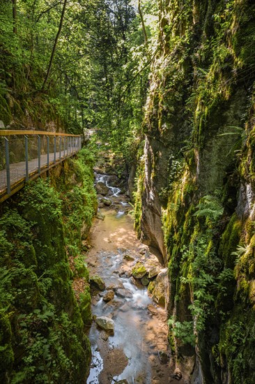 Stream