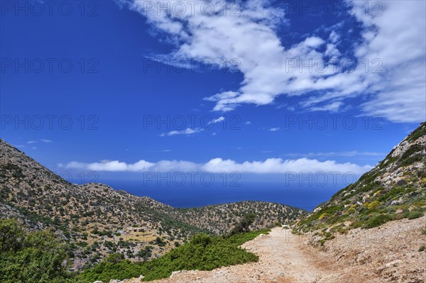 Typical Greek or Cretan landscape