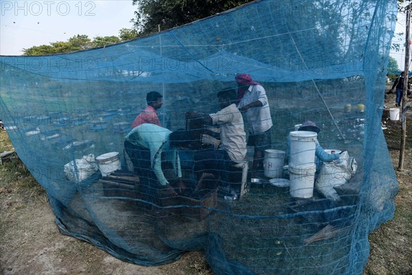 Bee keepers working in a bee farm near a mustards field in a village in Barpeta district of Assam in India on Wednesday 22 December 2021. The bee keeping business is one of the most profitable busines...