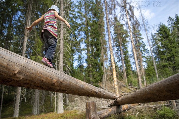 Child balancing on tree trunk
