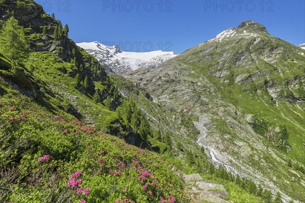 Vorderer Kesselkopf and Grossvenediger