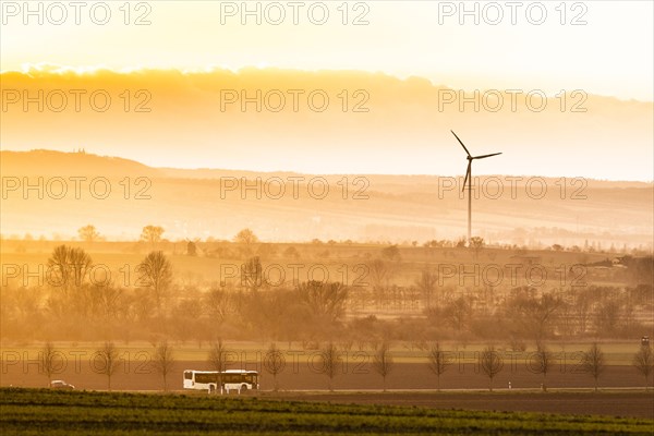 A public bus driving along a country road in the evening light near Oschersleben