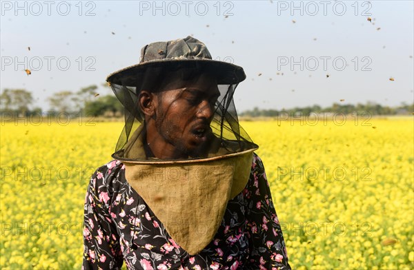 Bee keepers working in a bee farm near a mustards field in a village in Barpeta district of Assam in India on Wednesday 22 December 2021. The bee keeping business is one of the most profitable busines...