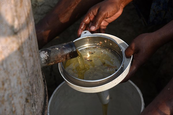 Bee keepers working in a bee farm near a mustards field in a village in Barpeta district of Assam in India on Wednesday 22 December 2021. The bee keeping business is one of the most profitable busines...