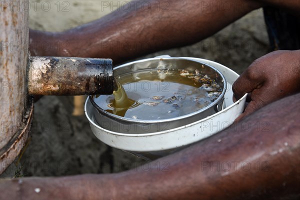 Bee keepers working in a bee farm near a mustards field in a village in Barpeta district of Assam in India on Wednesday 22 December 2021. The bee keeping business is one of the most profitable busines...