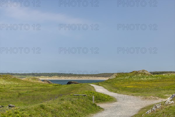 Beach and coast