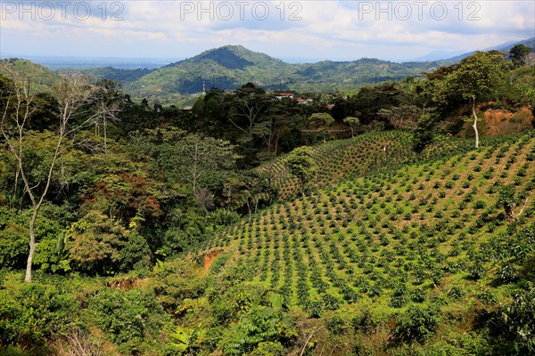 Republic of Colombia
