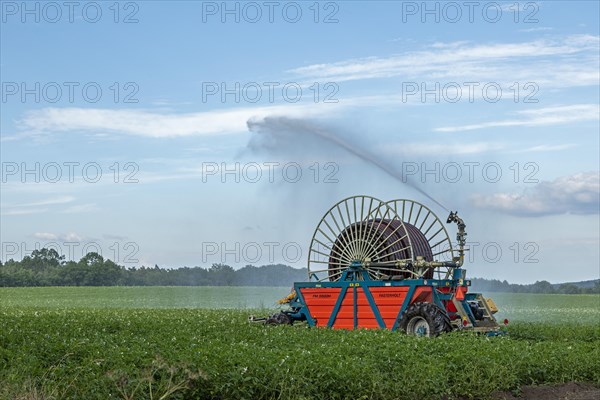 Field irrigation