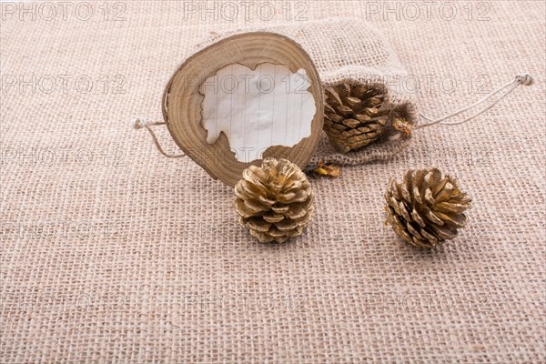 Pine cones out of sack and burnt paperon canvas