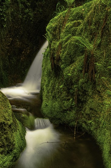 Edelfrauengrab waterfall of the Gottschlag stream in the Black Forest National Park near Ottenhoefen