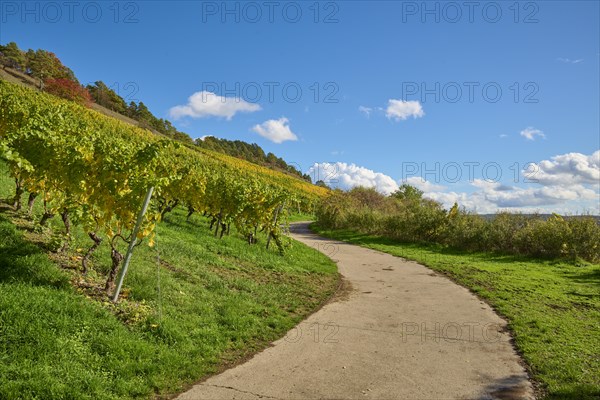 Path