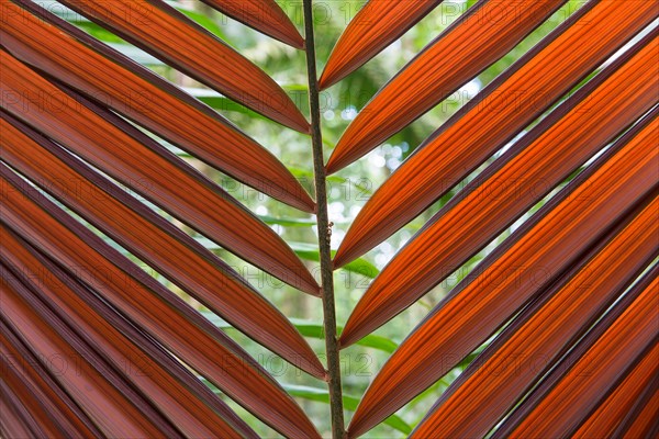 Tirimbina Rainforest Center