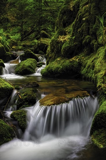 Small waterfall of the Gottschlaegbach stream near Ottenhoefen in the Black Forest