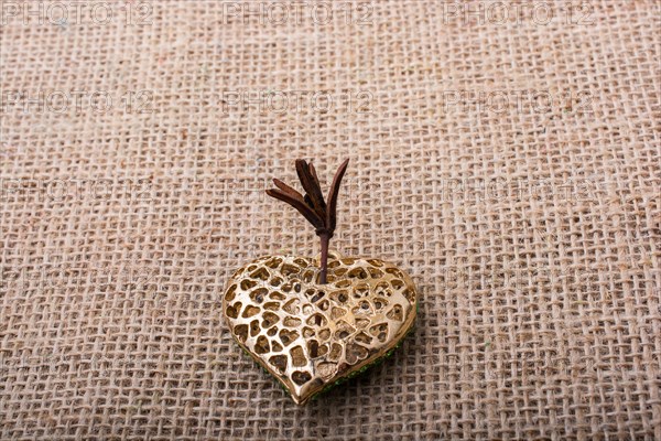 Heart shaped gold color metal object on canvas